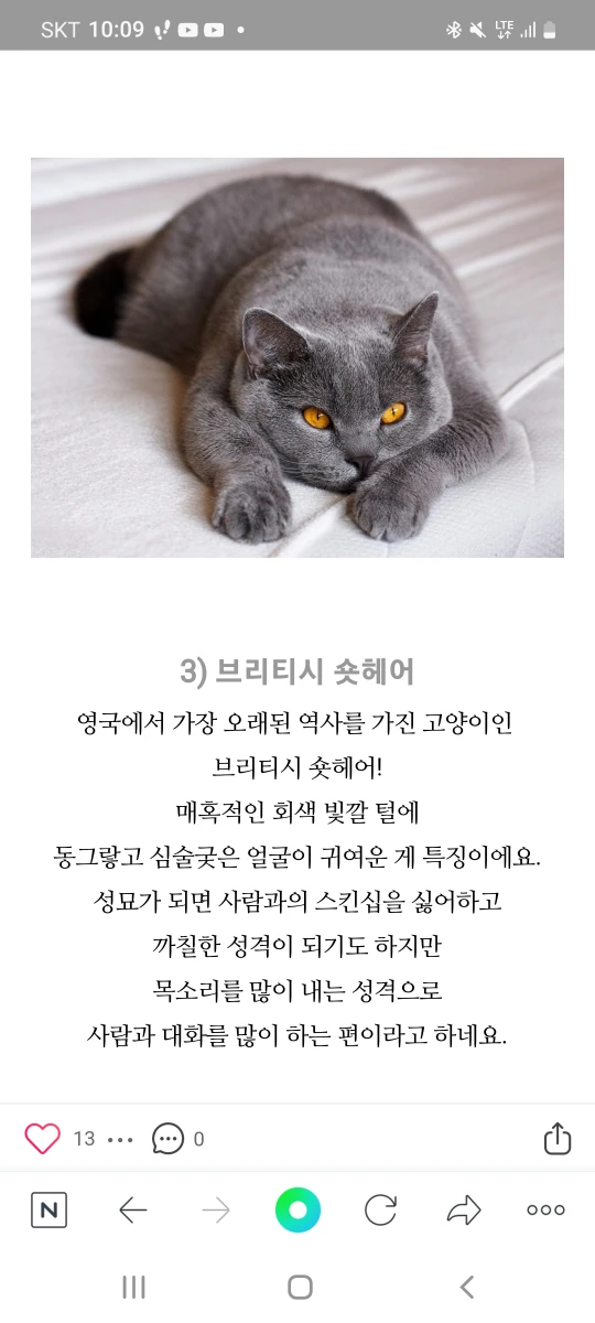 하나개해수욕장 매표소앞  주차장에  요  썸네일