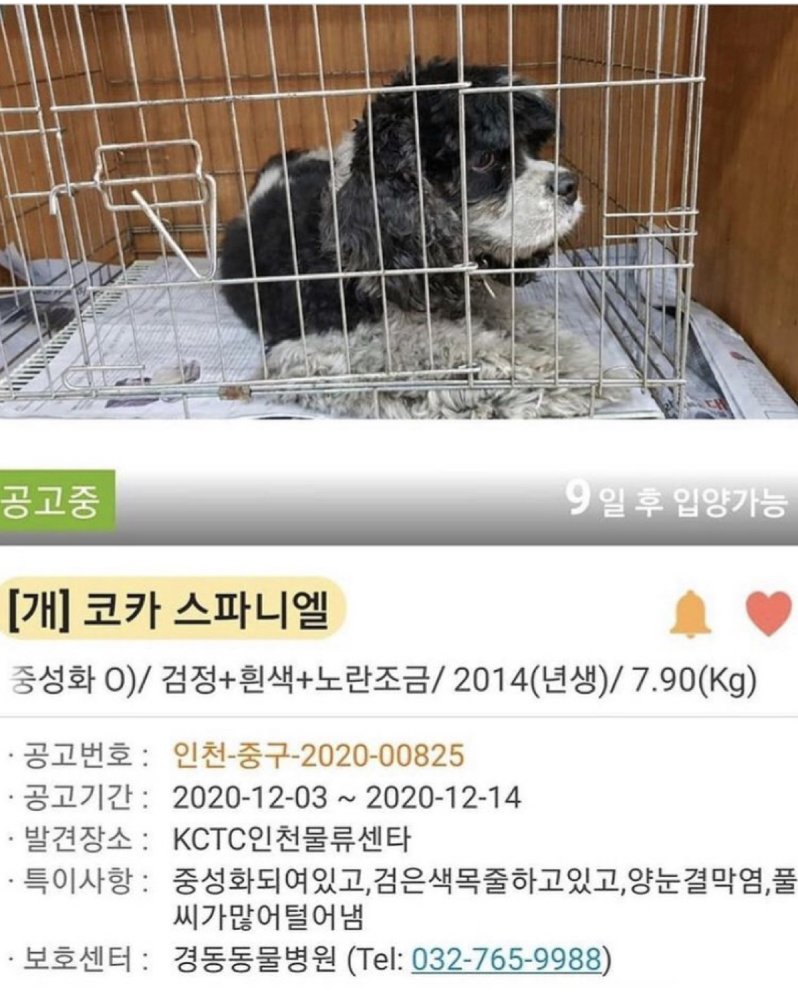 인스타그램에 공고가 올라와서 썸네일