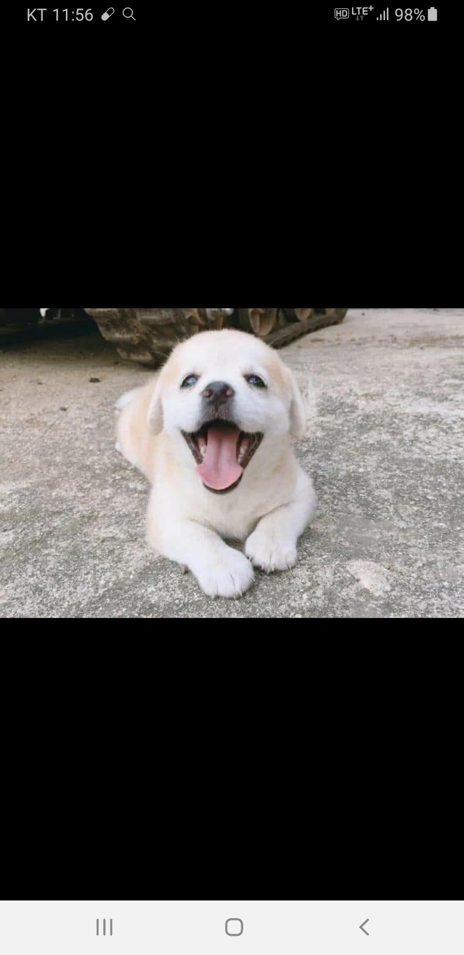저기요 ... 썸네일