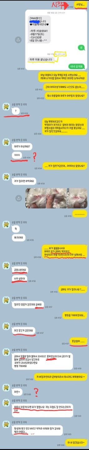 강아지 미용사고 귀짤림 썸네일