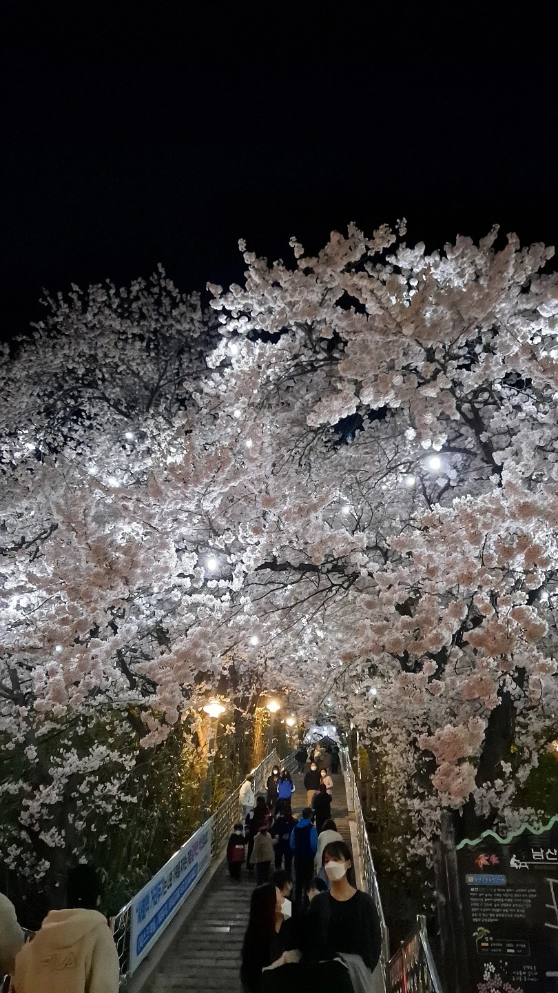 바늘로 코끼리를 찌르면 그저 따끔거리는 정도지만  썸네일