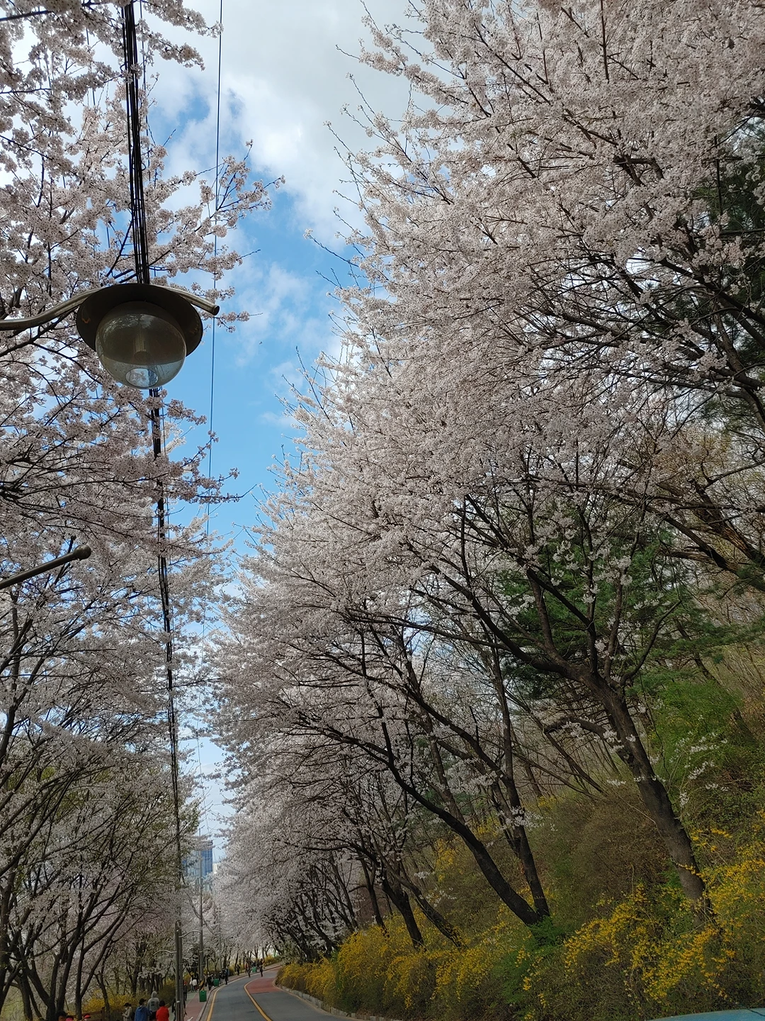 전진아파트 올라 가는 길~ 썸네일