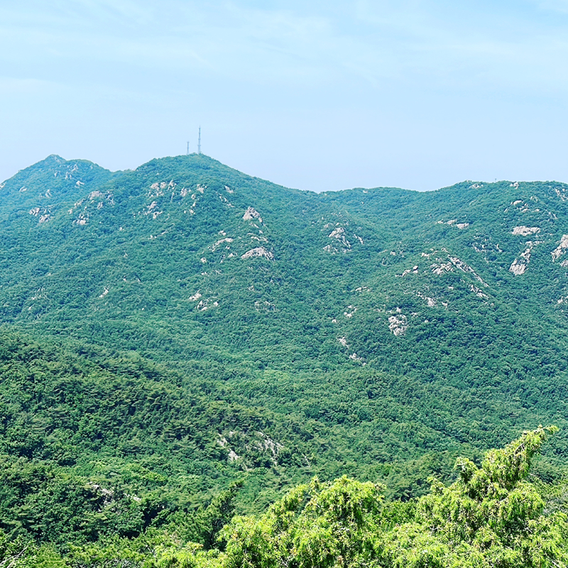 관악산 뿌셔뿌셔 썸네일