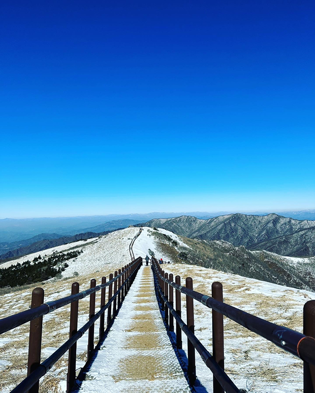 3040산조아 썸네일