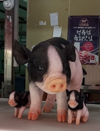 북가좌동  친구만들기 썸네일