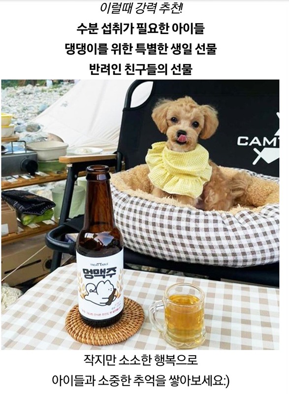 반려동물옴ㄱㅁ 썸네일