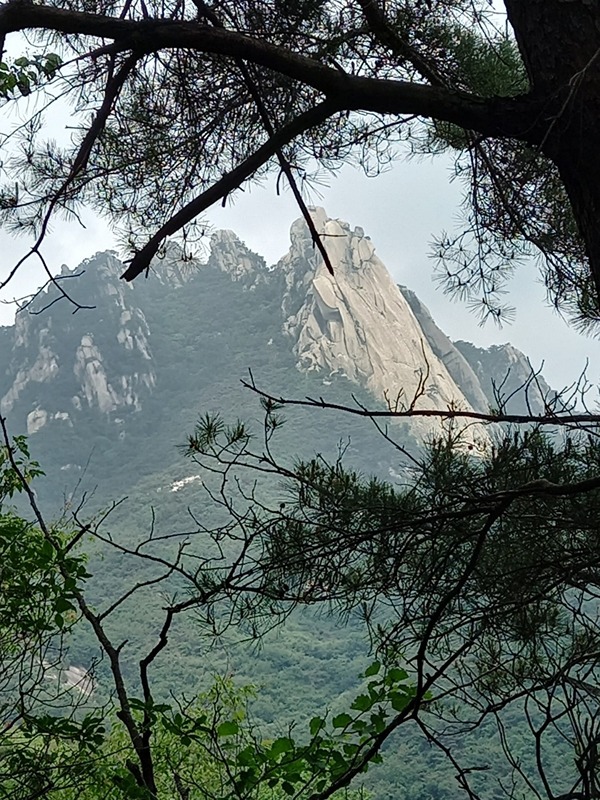 당근 산악회 썸네일