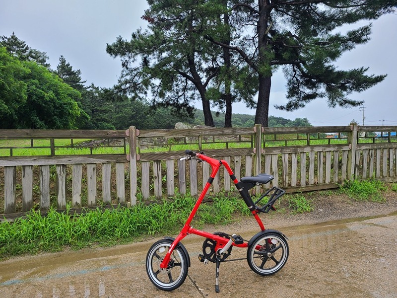   💕_자전거 같이타요_🚴~🚲 썸네일