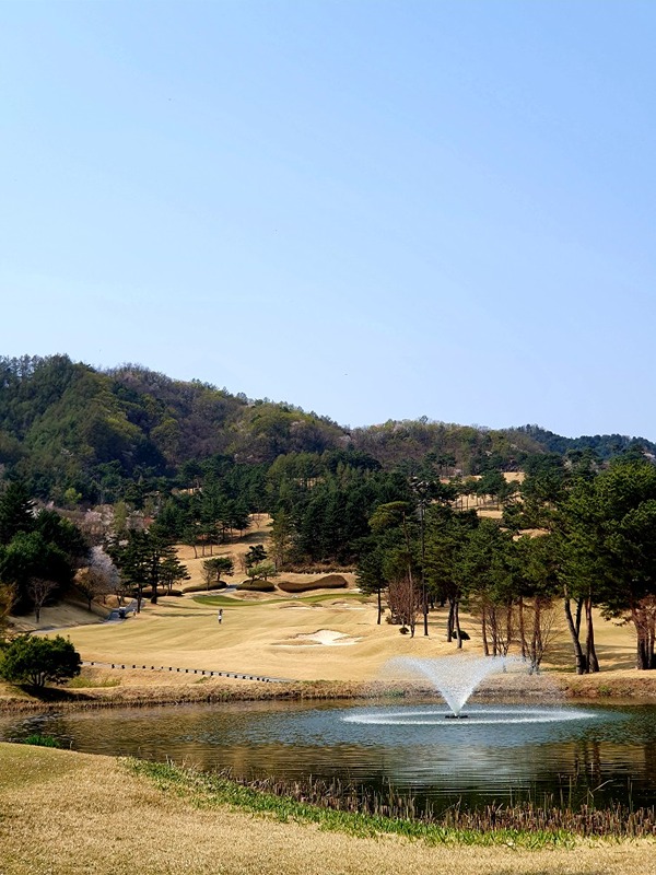 땡그랑⛳️ 골프 썸네일