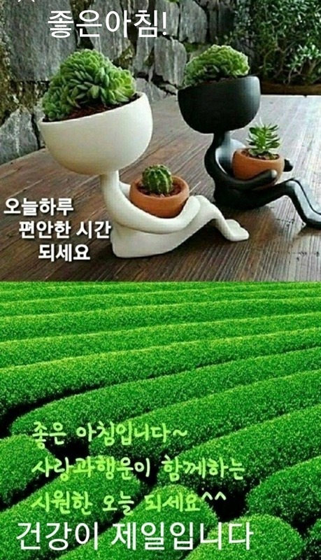 콕사랑 썸네일