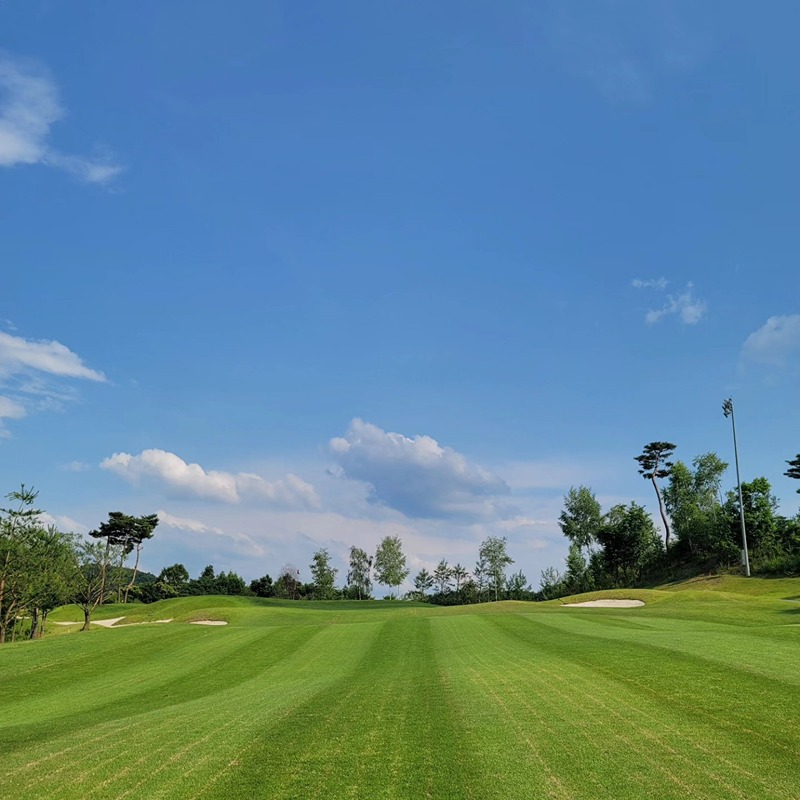 버디친구 보기  ⛳️ 썸네일