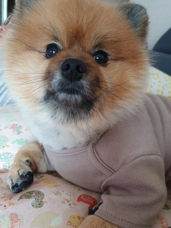 멍이사랑 썸네일