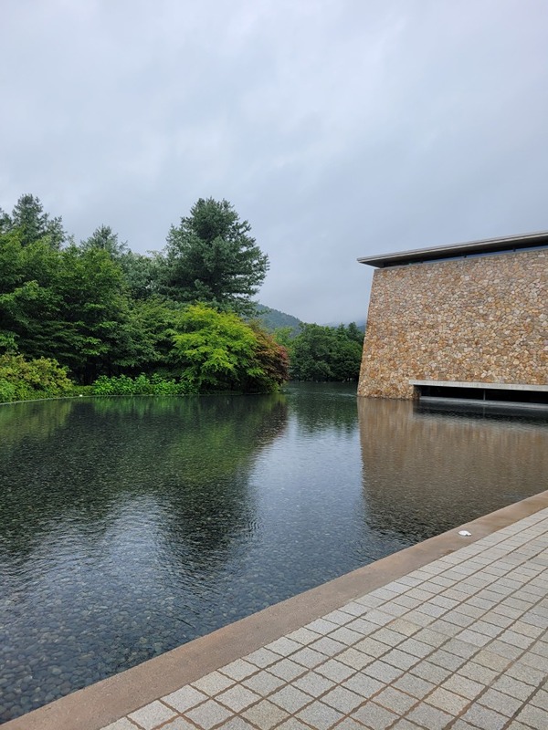 공원 산책 썸네일