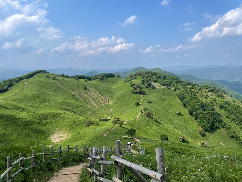 ⛰️용인댁  산타여🏔 썸네일