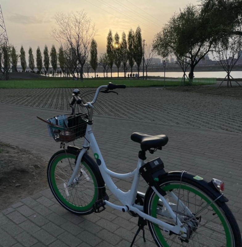 중랑천 따릉이 타는 모임🚲🚲 썸네일