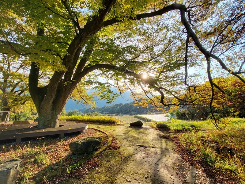 동네친구 운동모임(경광주/성남/분당/용인) 썸네일