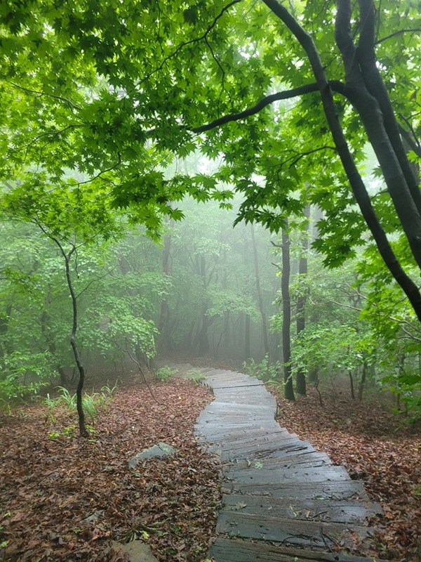 블랙야크 100대명산 등산하기