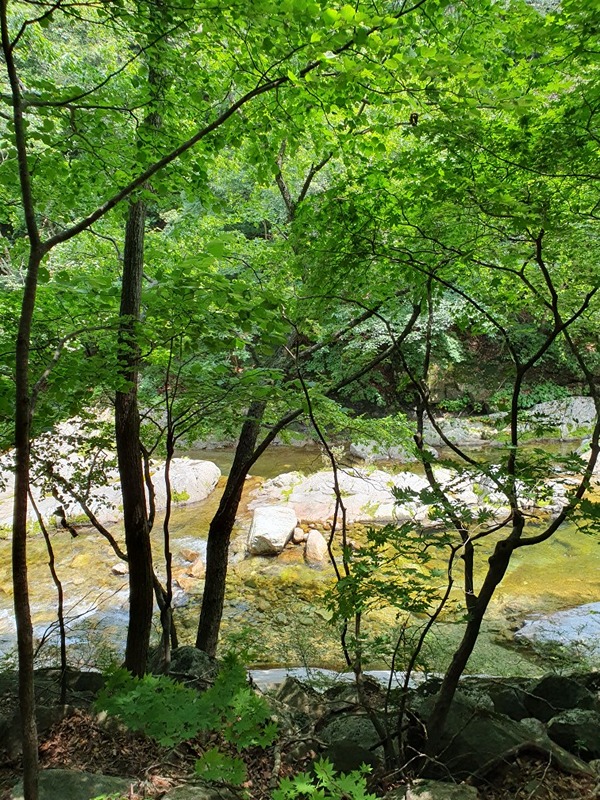 산사모(산을사랑하는모임) 썸네일