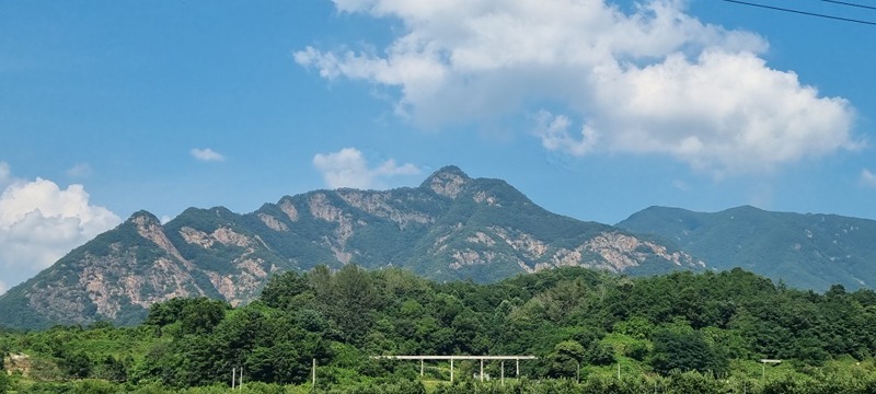 서천동, 농서동 로드자전거 썸네일