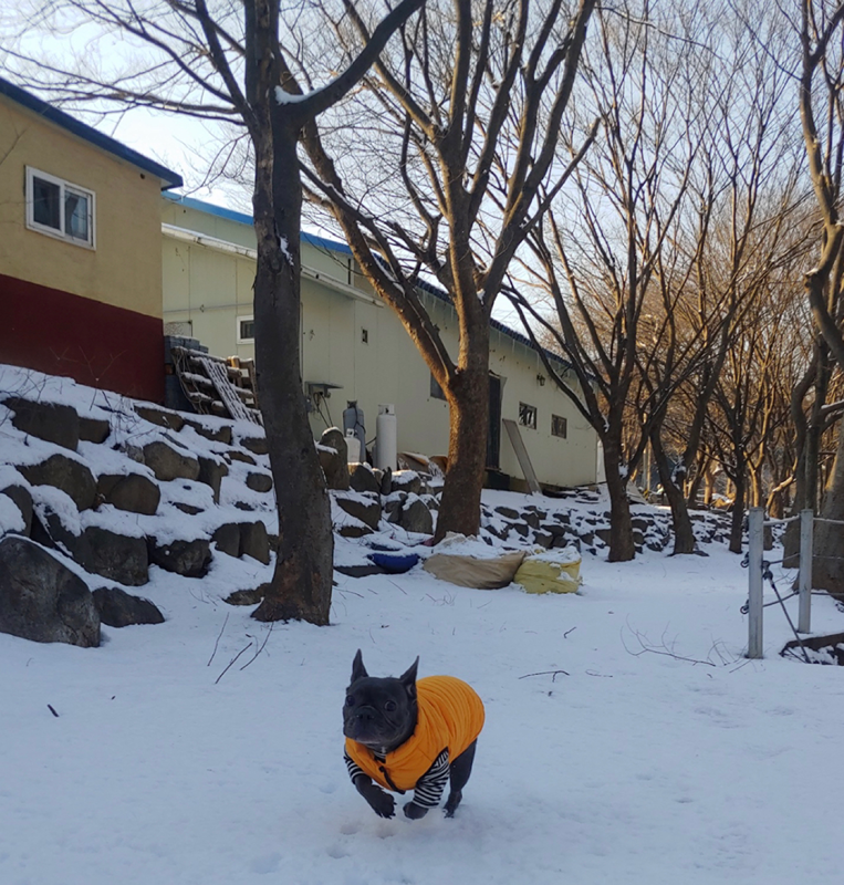 산책가자~ 썸네일