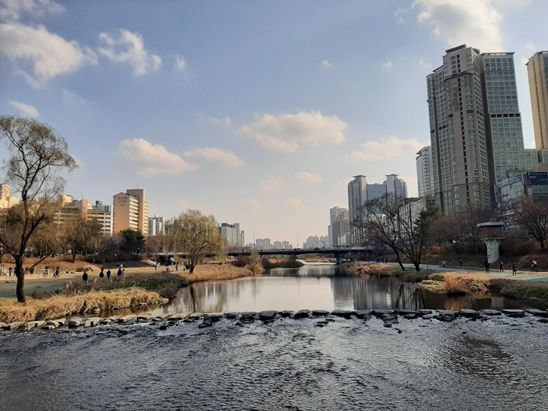 상현동 근처 자기계발, 자전거, 산책 😄 썸네일