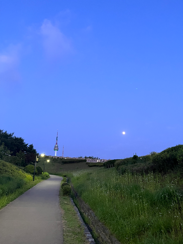 쫄보견 산책친구 썸네일