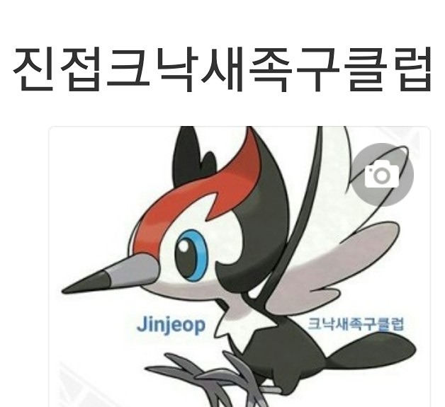 족구클럽 썸네일