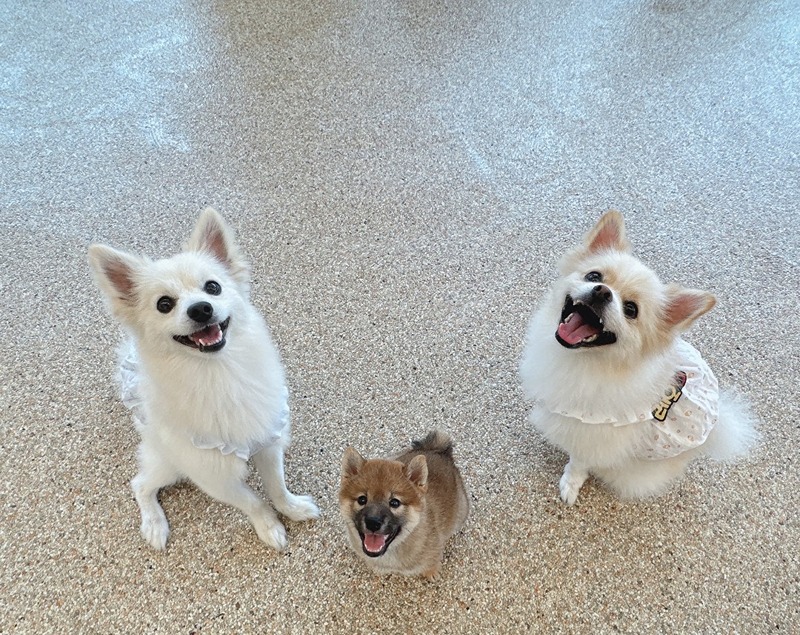 저희는 오래오래 인연을 가진상태입다~~! 썸네일