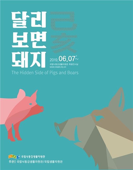 정자2동 다이어트 유산소 모임 썸네일