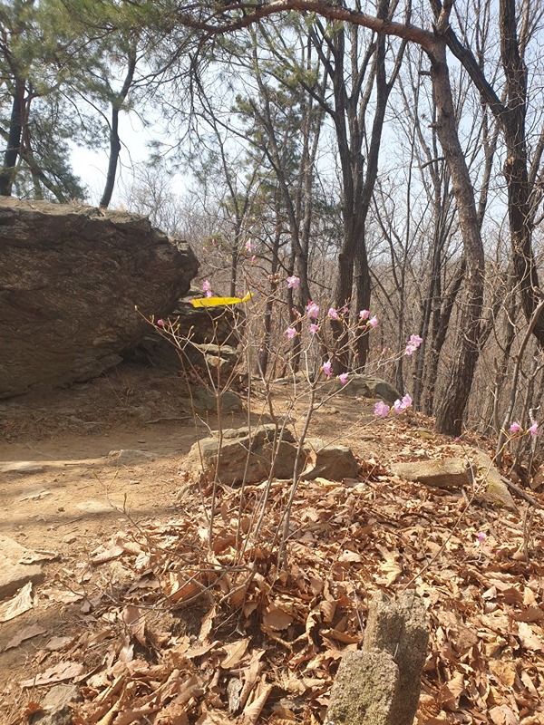 관악산등산 썸네일