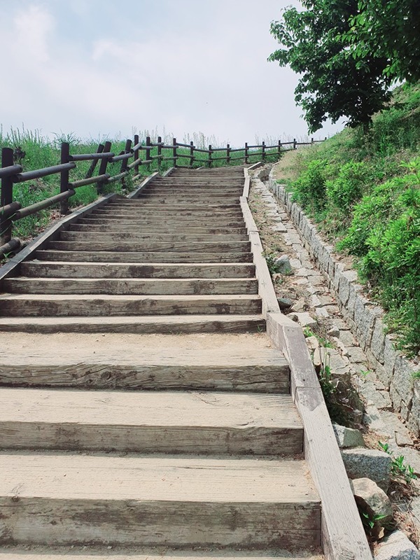 초심자 백패킹 썸네일