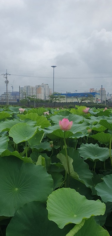 산에 가요♡ 썸네일