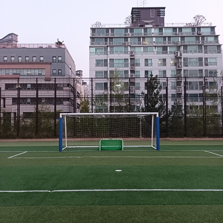 삼성축구클럽  강남 청담 삼성 역삼 썸네일