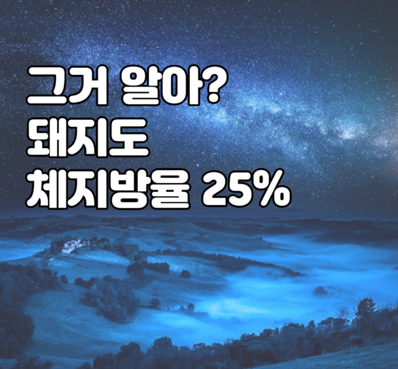 같이 다이어트해요!! 썸네일