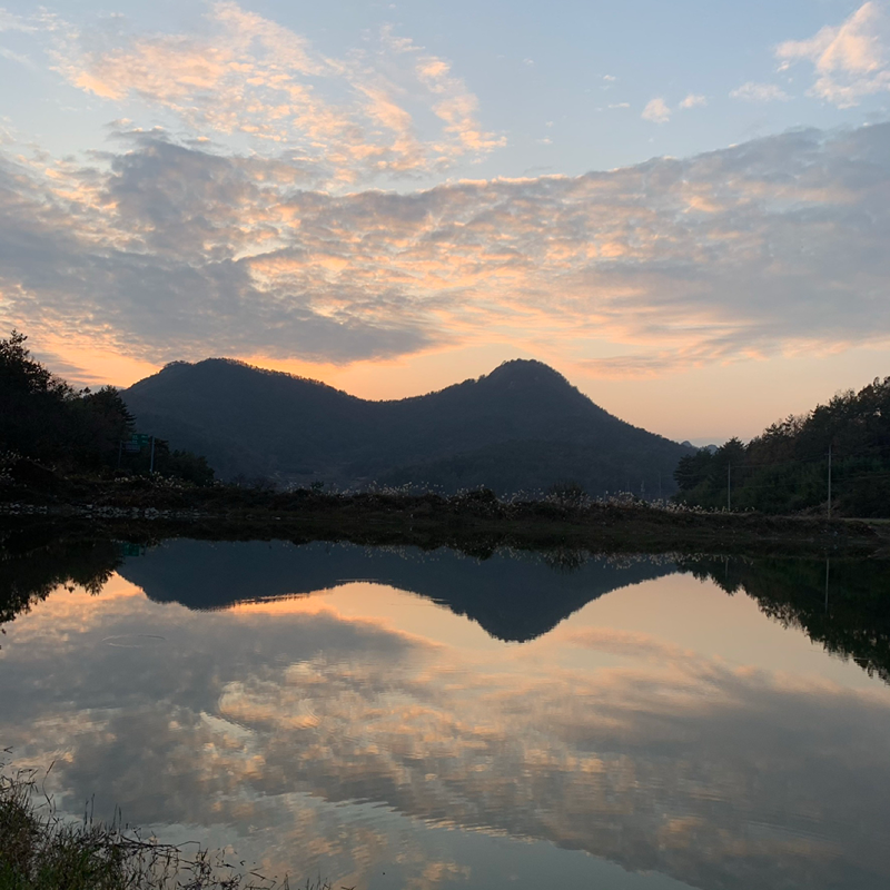 밤 산책다닐 분 구합니다 썸네일