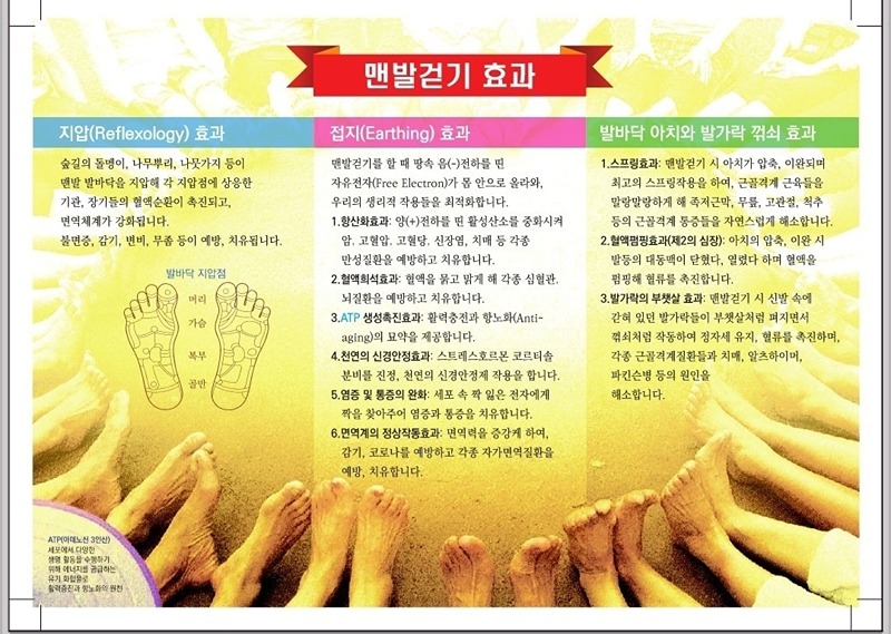 진안동 힐링 맨발걷기 썸네일