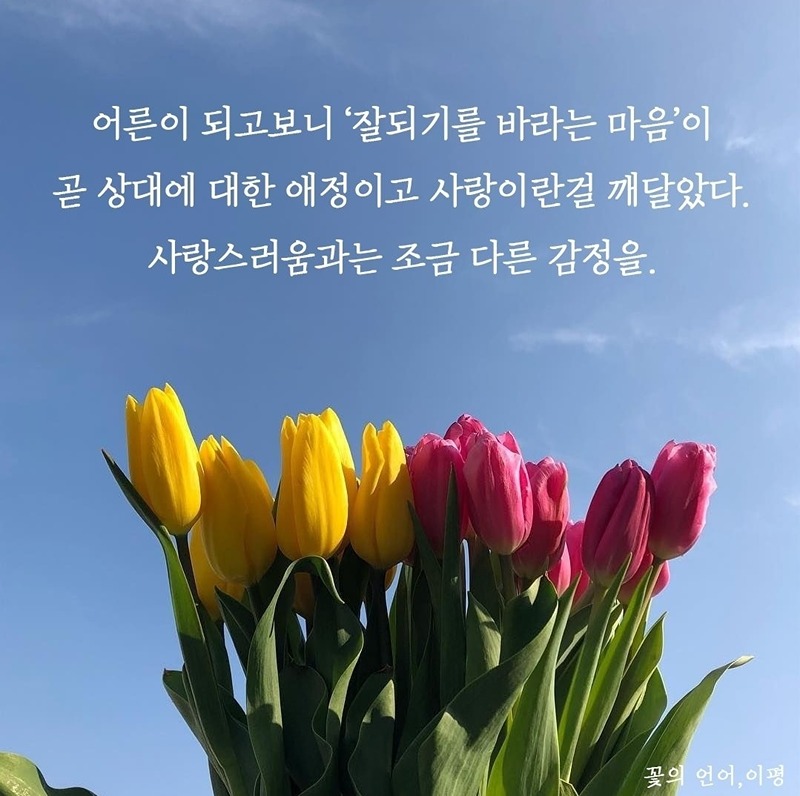 슈퍼스타 썸네일