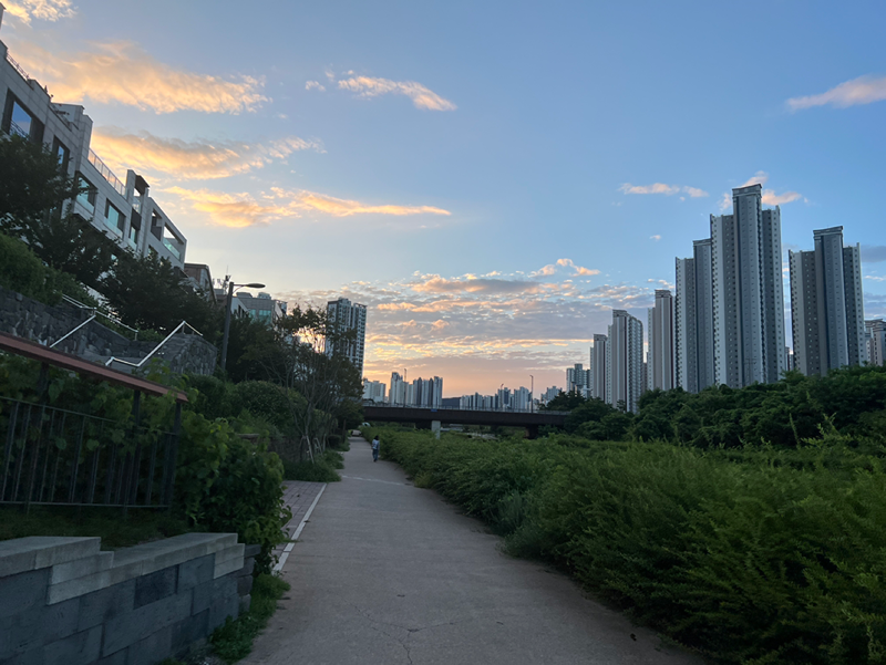 치동천 살려고 뛰기 썸네일