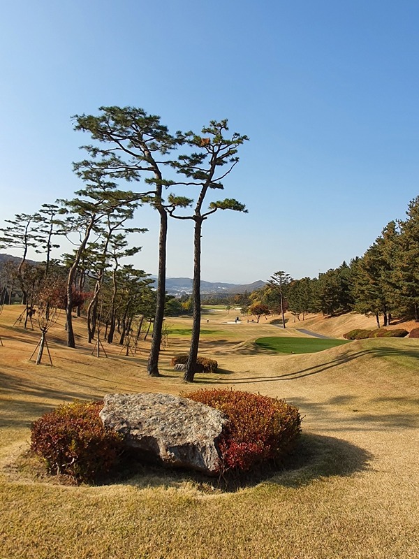 50대 여성분만 스크린골프(인근지역거주자) 썸네일