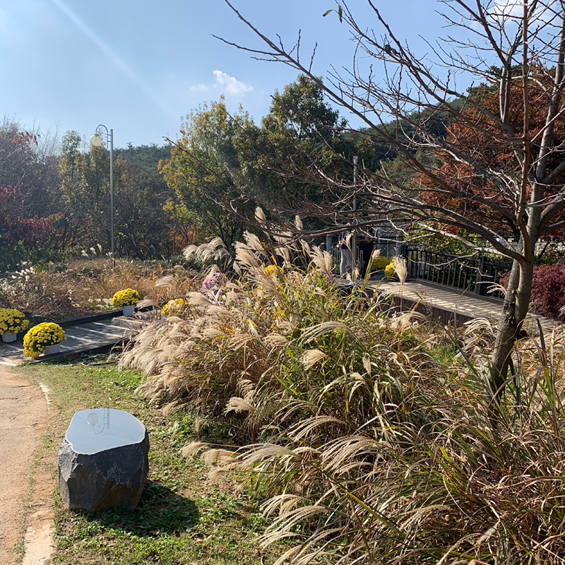 송도 수요 영어 스터디 (중상이상)