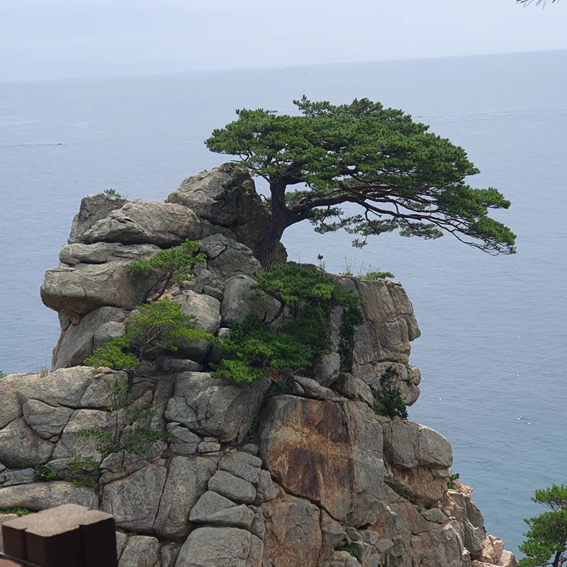 부동산경매 스터디 함께해요 썸네일