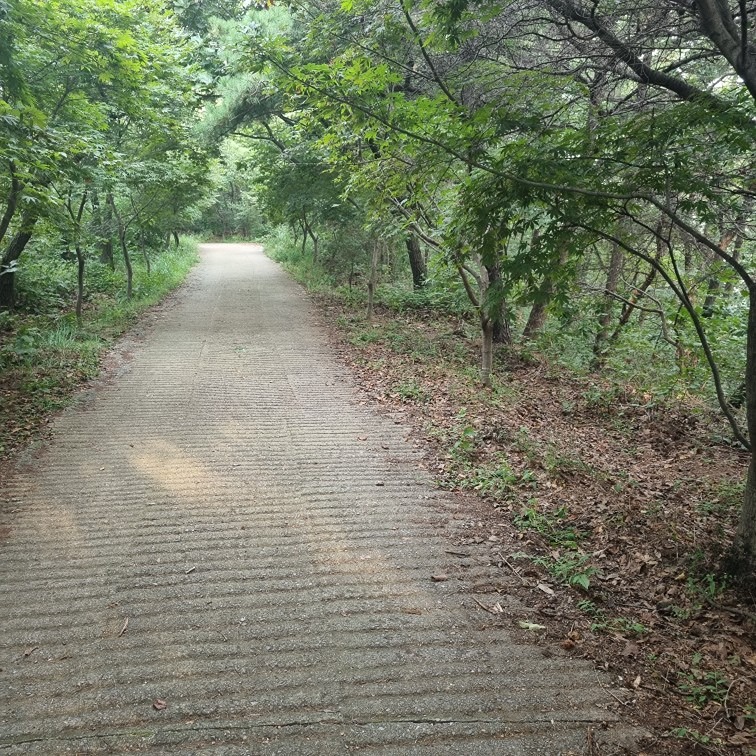 주말 가현산 함께 산책해요