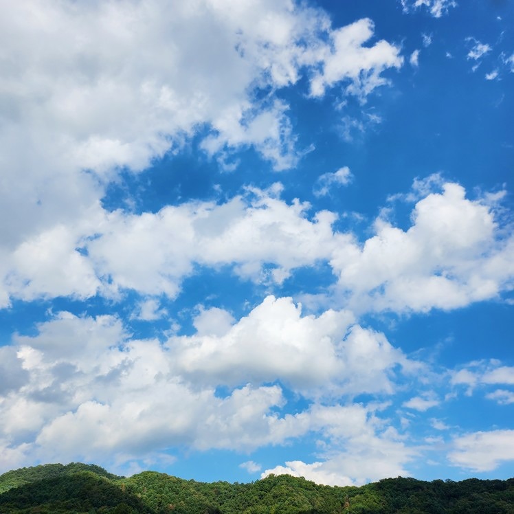 성남맘 - 성남교육