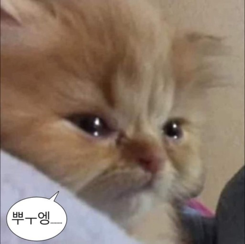 일주일 단식 같이하실 여성분 있을까용.?😄 썸네일