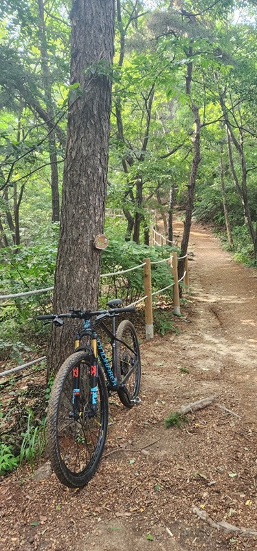 연수 라이더 썸네일