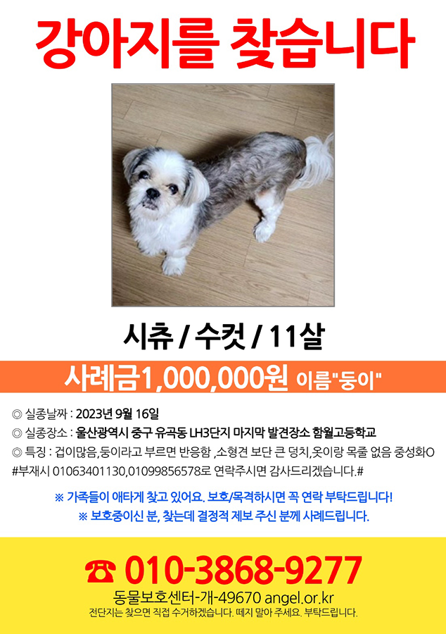 강아리를 찾습니다 (사례금 100만원) 썸네일