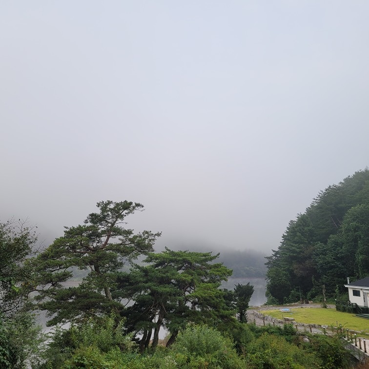 파주  책향기 썸네일