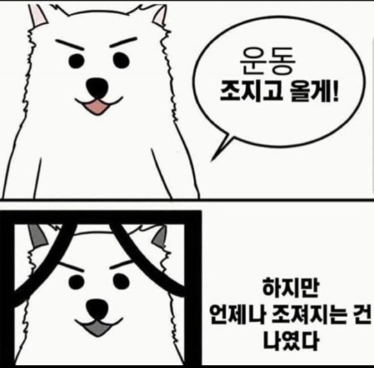 ⭐️평택역 헬스 같이 하는 거 오똔데⭐️ 썸네일