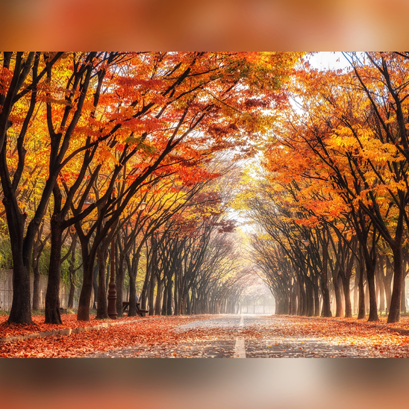 풍경사진📸 좋아하는 사람 (여행,출사모임) 썸네일