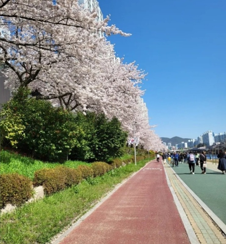 사직동 러닝크루 썸네일